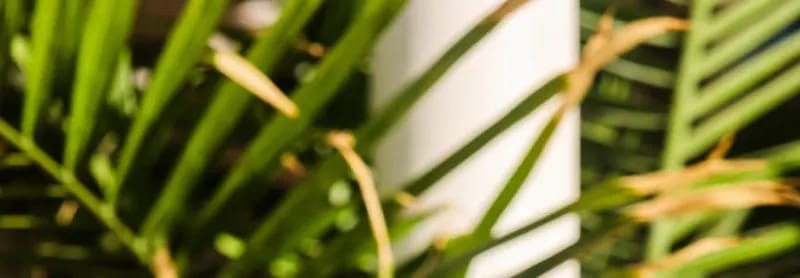 listing Tropical Tuesday's (Food, Drinks + Music)
