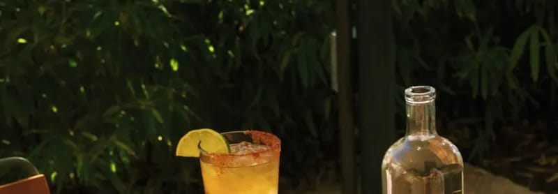 listing Happy Hour at Hotel San Jose