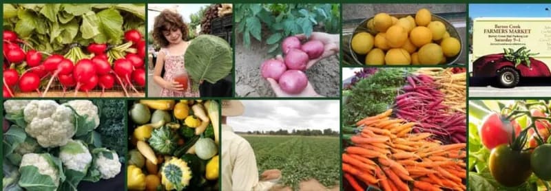 listing Barton Creek Farmers Market