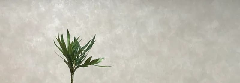 listing Ikebana Floral Workshop (Beginner)