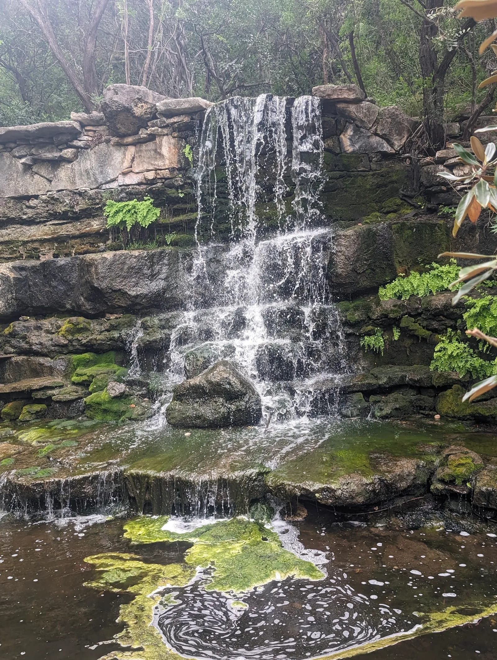 Walk the Botanical Gardens image