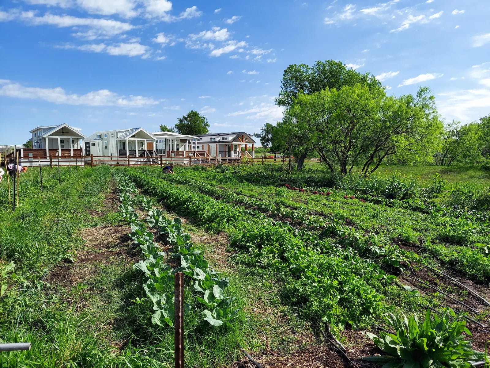Barn Yoga & Farmer's Market (Farm Stand) image