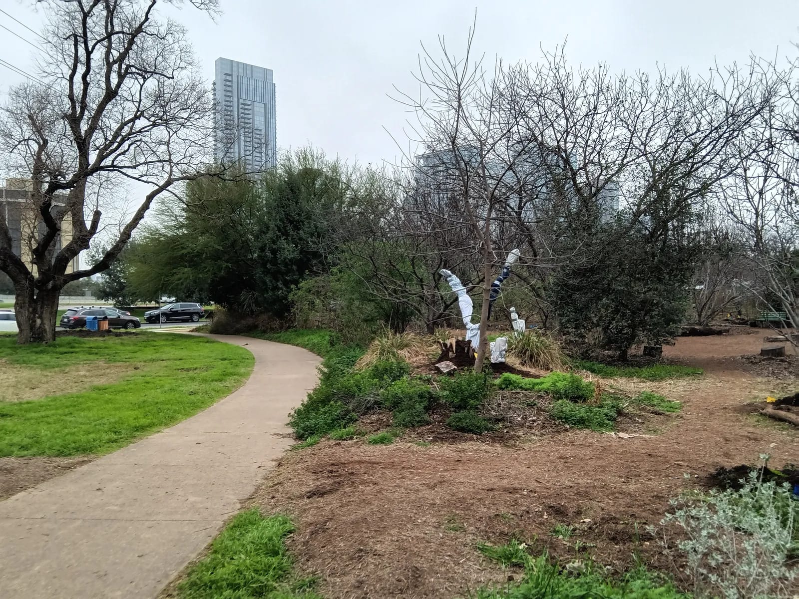 Yoga in the Food Forest image