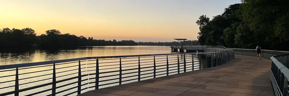Walk the Boardwalk at Lady Bird Lake image